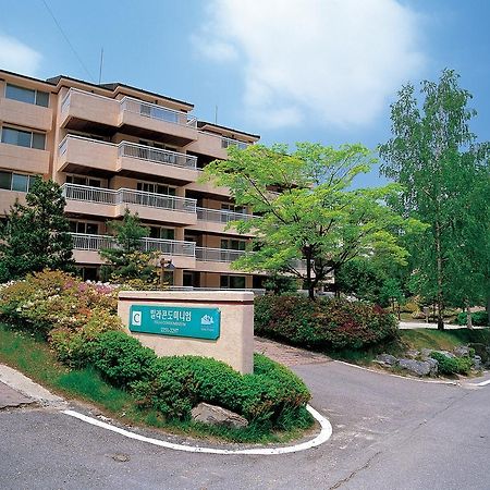 Yongpyong Resort Villa Condominium بيونغتشانغ المظهر الخارجي الصورة