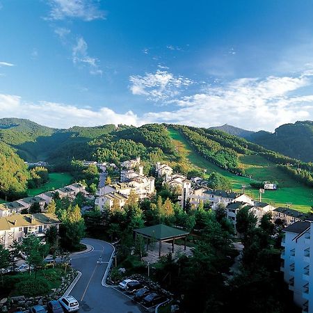 Yongpyong Resort Villa Condominium بيونغتشانغ المظهر الخارجي الصورة