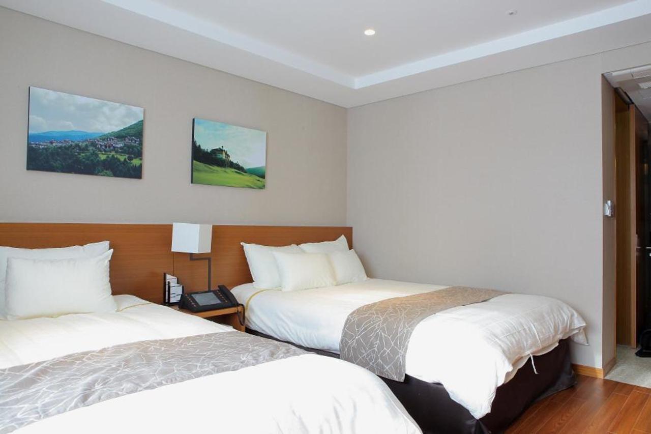 Yongpyong Resort Villa Condominium بيونغتشانغ المظهر الخارجي الصورة