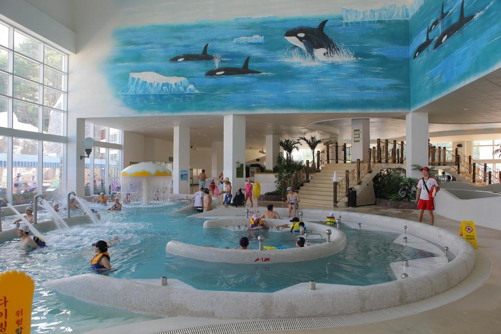 Yongpyong Resort Villa Condominium بيونغتشانغ المظهر الخارجي الصورة