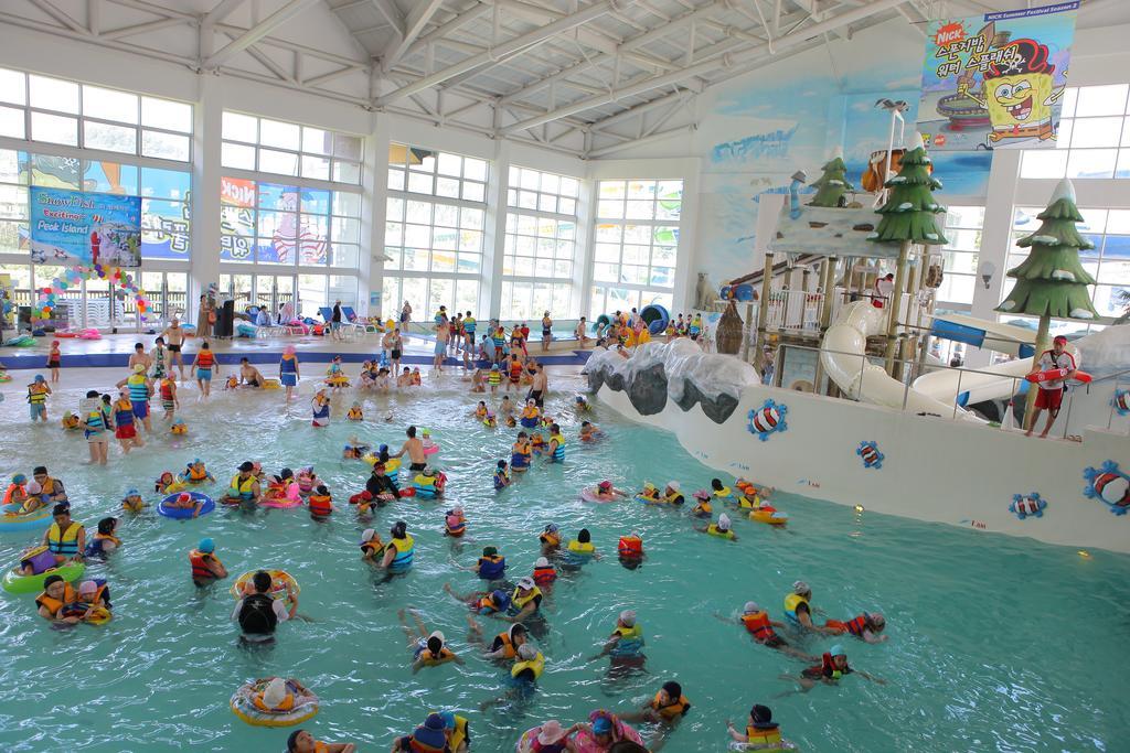 Yongpyong Resort Villa Condominium بيونغتشانغ المظهر الخارجي الصورة