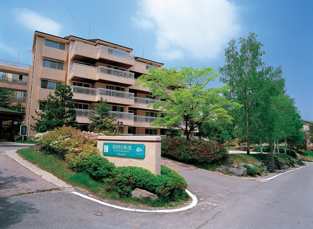 Yongpyong Resort Villa Condominium بيونغتشانغ المظهر الخارجي الصورة