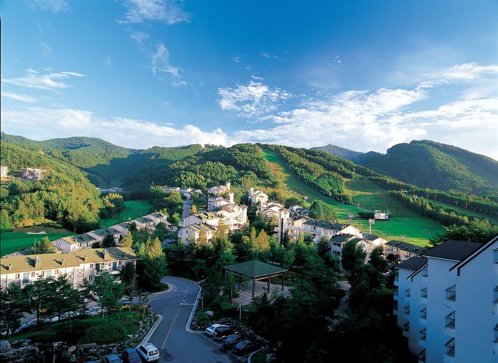 Yongpyong Resort Villa Condominium بيونغتشانغ المظهر الخارجي الصورة