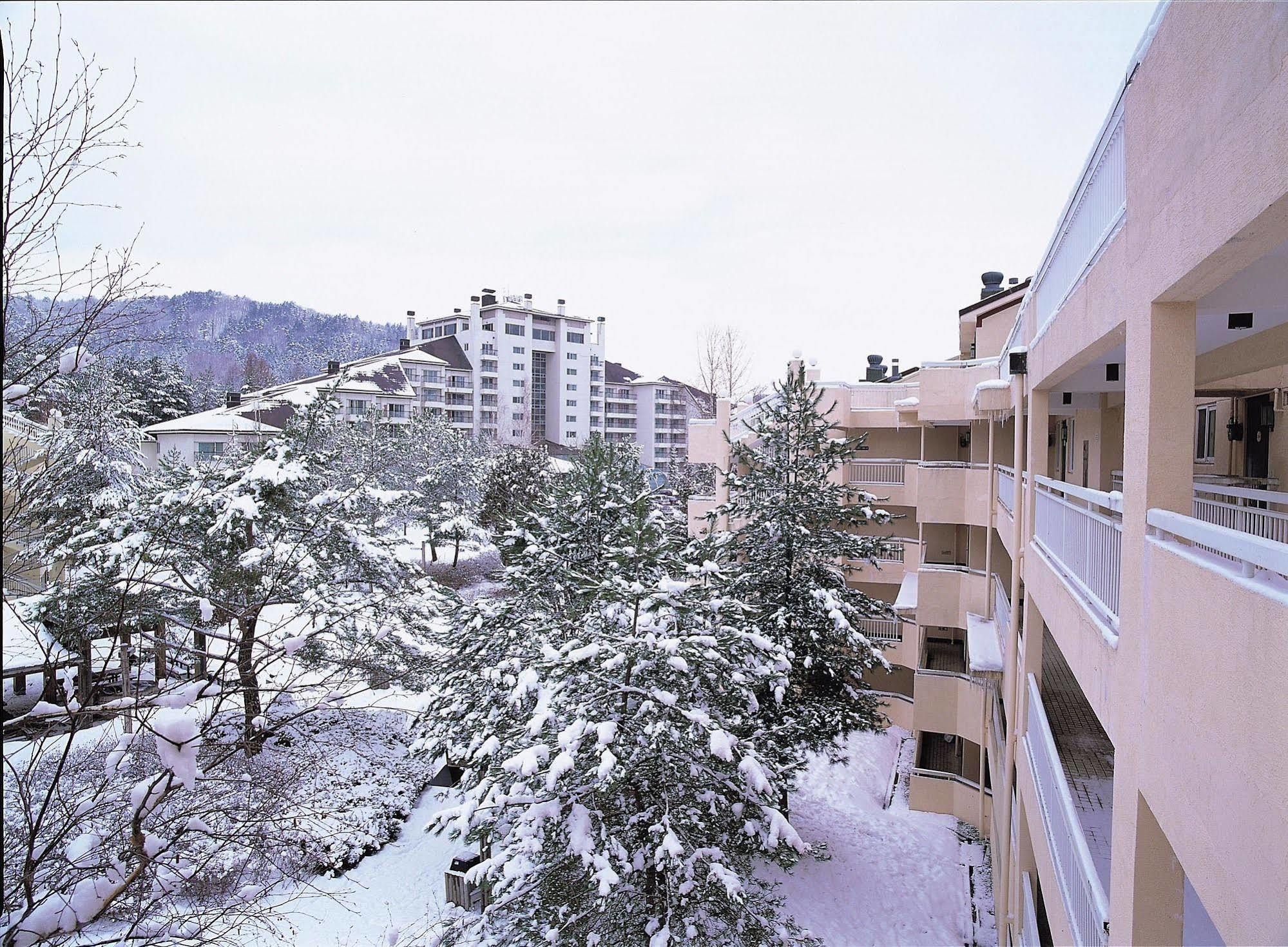 Yongpyong Resort Villa Condominium بيونغتشانغ المظهر الخارجي الصورة