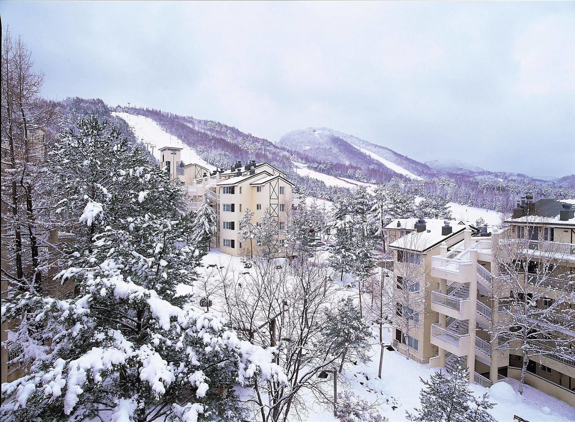 Yongpyong Resort Villa Condominium بيونغتشانغ المظهر الخارجي الصورة