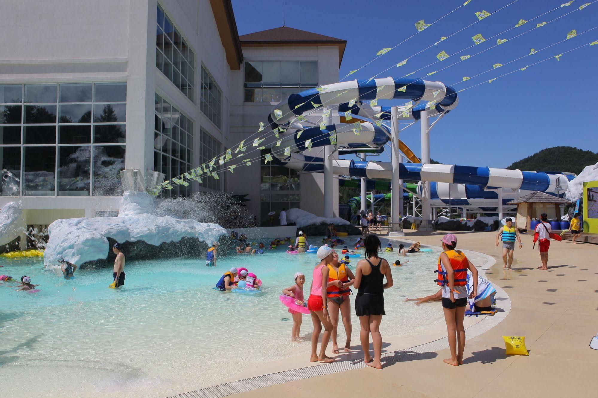 Yongpyong Resort Villa Condominium بيونغتشانغ المظهر الخارجي الصورة