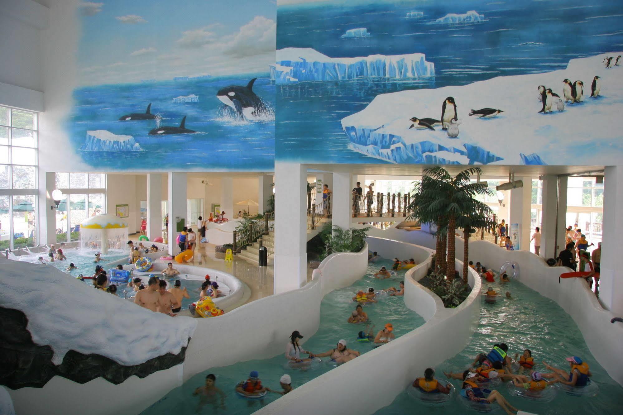 Yongpyong Resort Villa Condominium بيونغتشانغ المظهر الخارجي الصورة