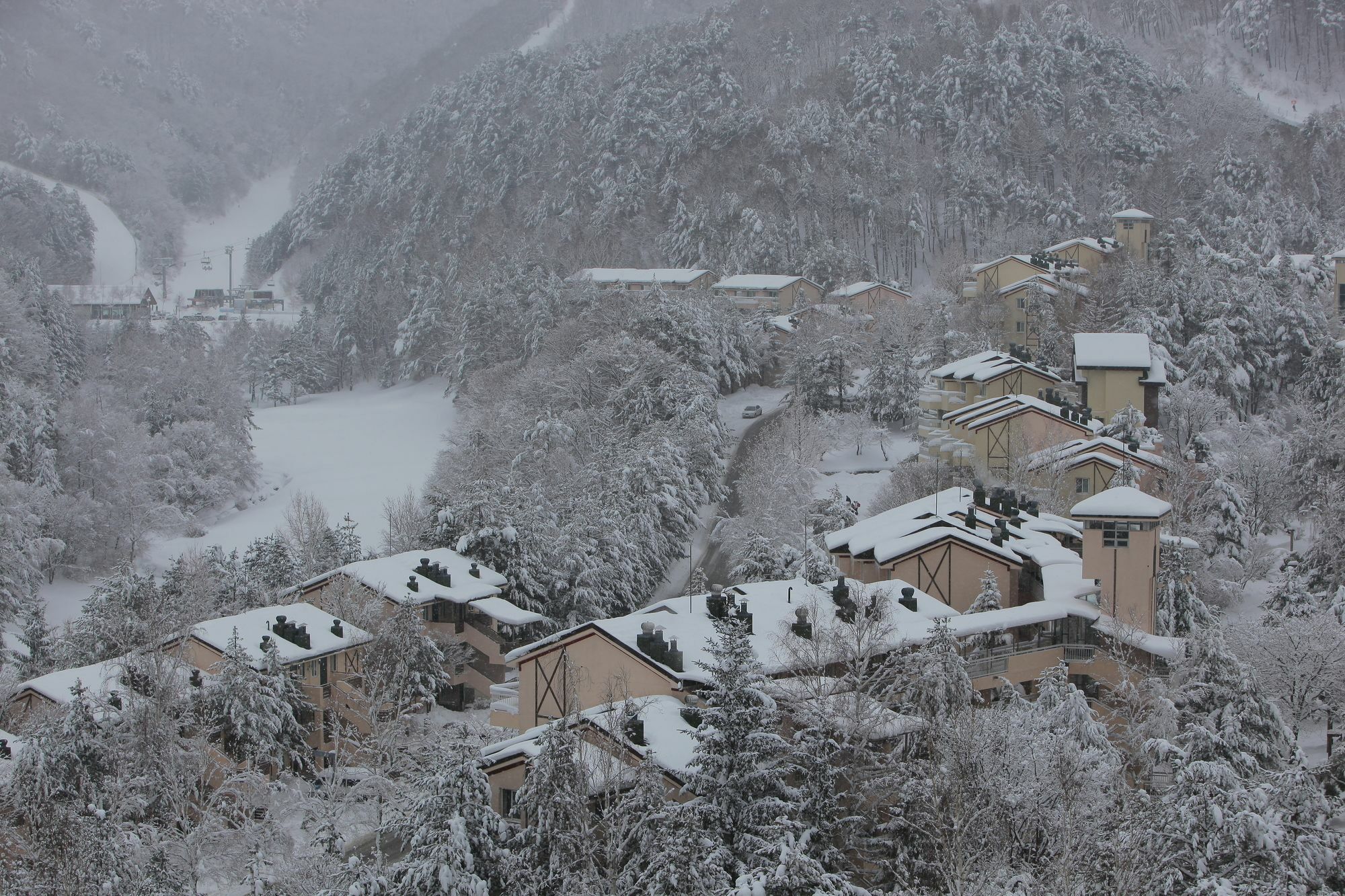 Yongpyong Resort Villa Condominium بيونغتشانغ المظهر الخارجي الصورة